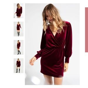 Gentle Fawn Velvet Dress